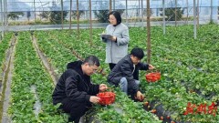 常德：守好农产品质量关 筑牢舌尖安全防线