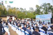 春假连清明，长沙向您发出春日请柬