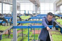 34.7万亩！长沙县早稻育秧进度达98%