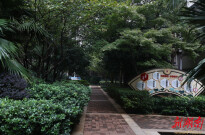 党建引领筑家园 长沙三个物业小区跻身全国美好家园样板@湖南日报