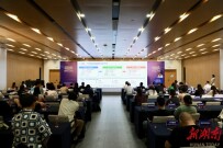 “首发新引擎·AI创未来”动漫游戏与潮玩文创产业对接会在星沙举办