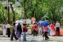 10万朵栀子花免费送，长沙夏季文旅推广活动启幕