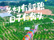 桃花源里·和美湘村 | 临澧四新岗：乡村有新貌 日子有奔头