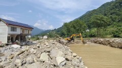 风雨过后 重建家园④｜石门县杨家坪村连片茶园青翠复绿