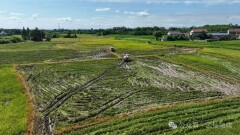 武陵区：科技赋能“双抢” 夏收夏种跑出加速度