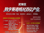 一图解码 | 武陵区筑造“湘北数谷 武陵标注”省级地标