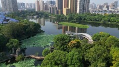 常德16日至17日迎降雨降温天气