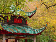 岳麓山跻身全国赏枫榜第四，长沙的秋色正压轴上线