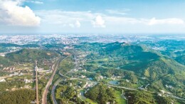 理论智库丨着力推进城乡融合和区域协调发展