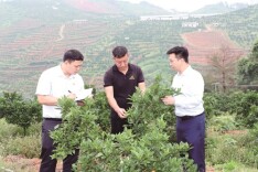 金融“活水”惠“三农” 乡村振兴绘新景