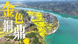 视频 | 中方县：与金色铜鼎共赴春日之约