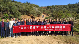 永兴举办优质油茶品种选育培训会，助力油茶产业提质增效