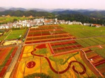 从这个视角看郴州北湖 郁郁葱葱