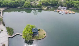 纵观株洲的成长 她越来越美了