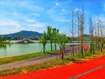 岳麓区：后湖水环境综合整治工程完工