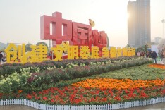 秋日暖阳，赏花去