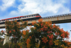 行驶中的磁悬浮列车