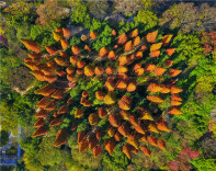 图集|道县：晨曦如火，冬色如秋，美如画面