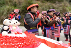 民俗|瑶家婚俗闹新春