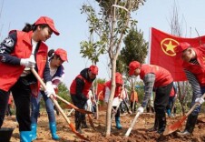 美丽岳麓再添111万株新绿！ 37万人次种树忙