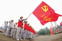 头雁领航 雁阵高飞