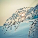 入冬专属景观到货！全国雾凇观赏指南，请收藏！