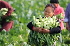 每日一词∣人民幸福感 the people