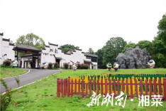 去湘都？“趣”湘都！