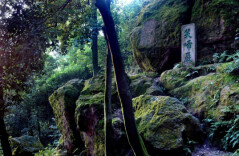 岳麓山笑啼岩背后：一段异乡人留下的家国故事