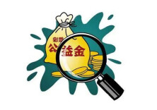 湖南省民政厅关于2020年度彩票公益金使用情况的公告