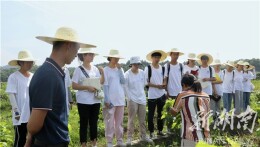 湖南科技大学商学院暑期“三下乡”社会实践团到杨林乡开展调研