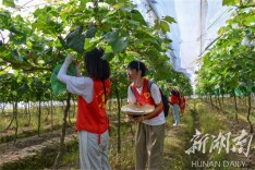 湖南科技大学学子走访产业带头人，探索致富“秘诀”，助力乡村振兴