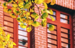 这座有115年历史的医院，见证了我国现代医学的萌芽与发展