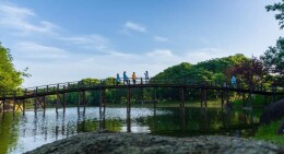 傅胜龙：大汉龙喜水乡，浏阳河畔筑梦乡