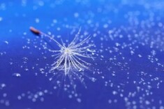 不要用别人的优秀，来怀疑自己的能力