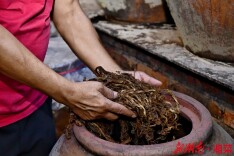 特别策划 | 手作的味道