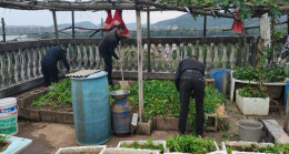 网格吹哨解决“屋顶烦恼”