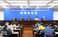 “特色、创新、双线”兼备 岳阳“两新”展示推广会亮点抢先看