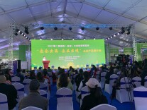 “会跳舞的茶”受青睐！岳阳50家企业“带货全国”