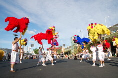 湖湘特色传统体育临湘天狮舞、桃源板龙灯入选“中国民间文化艺术之乡”