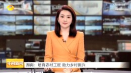 湖南卫视《午间新闻》——湖南培育农村工匠 助力乡村振兴