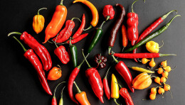 “多味湘味”让众口不再难调