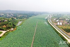 新湾镇：农旅风情相伴的“商圣小镇”