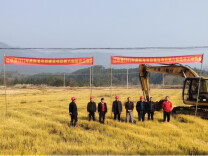 乡村振兴 | 江华码市镇开展高标准农田项目建设
