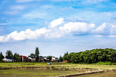 南县浪拔湖镇：水稻菜苔“活”土地 科普小镇发展兴