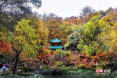 元旦、春节“返湘”的注意啦 湖南多地公布最新返乡政策