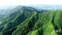 蒋家桥镇：农旅融合产业兴 荷香满庭醉游人