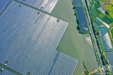 鲇鱼须镇：稻菽累累丰收地 鱼肥水美富饶乡