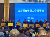 洪江市雪峰山国有林场被授予“湖南省秀美林场”称号