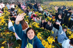 茶山镇：五大产业擘画农业强镇新画卷